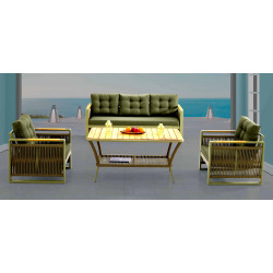 Vali Koltuk Takımı