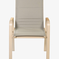 Rose Bahçe Sandalyesi